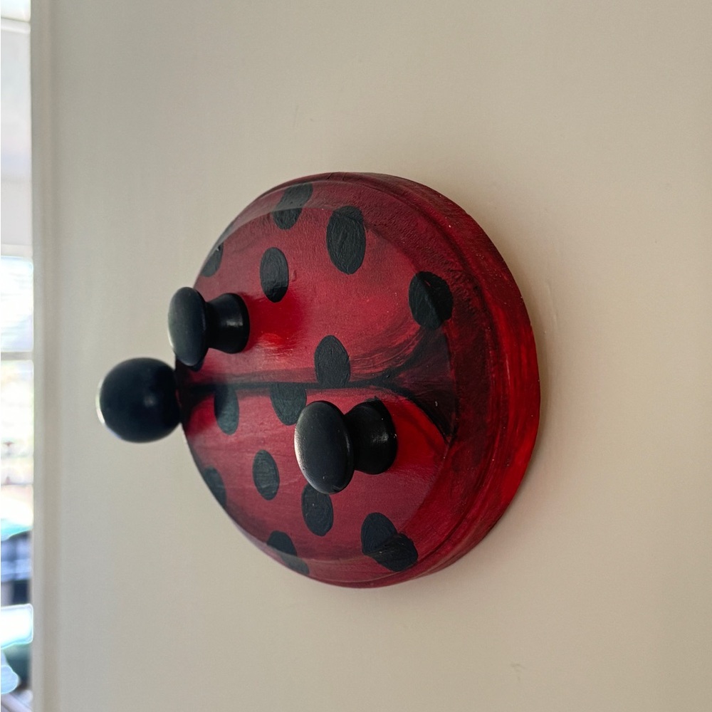 Handcrafted Wood Red and Black
Ladybug Wall Hook - Decorative
Home Accent - Picture 5 of 12